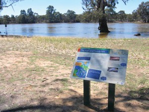 Mildura shared path