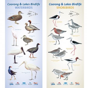 Birds of the Coorong Pull Up Banners
