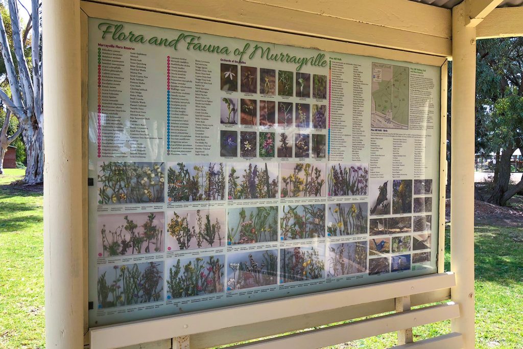Murrayville Flora and Fauna interpretive sign