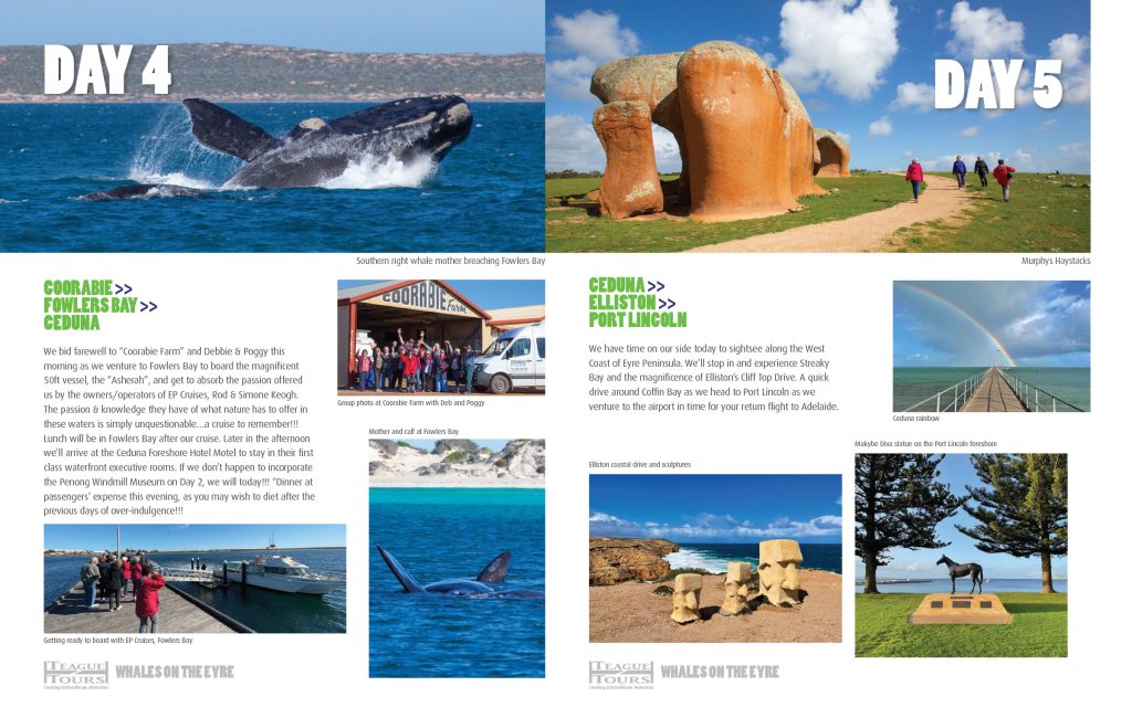Teague Tours Traveller Brochure Eyre Peninsula