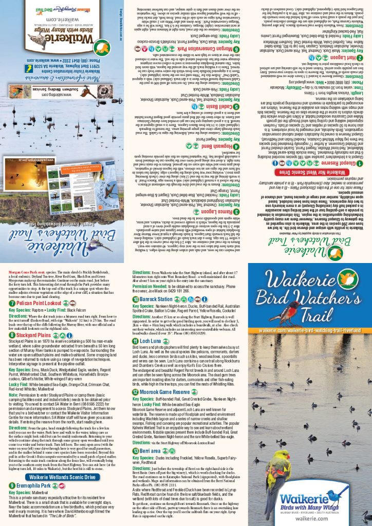 Waikerie Birdwatcher’s Trail brochure